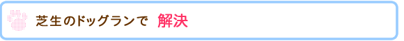 芝生のドッグランで解決