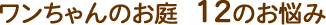 ���������̂���@�P�Q�̂��Y��