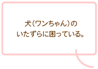 犬(ワンちゃん)のお悩み3つ