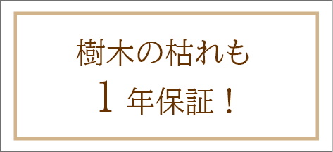 樹木の枯れも1年保証!