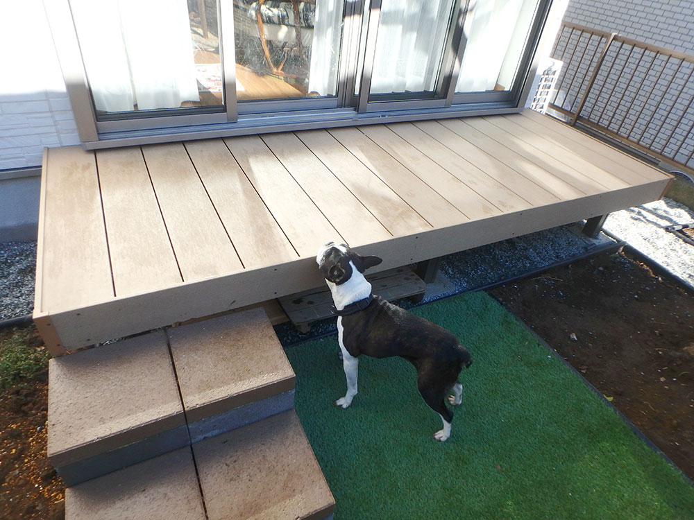 愛犬が喜ぶお庭作りのポイント グリーンケア