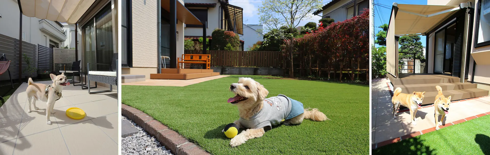 愛犬が喜ぶお庭作りのポイント