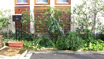 つる植物を楽しむ 目隠しフェンス グリーンケア お庭のデザイン リフォーム