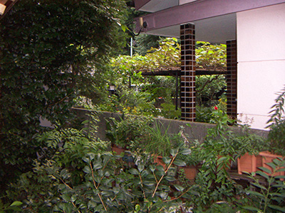 竹垣の種類 青竹と樹脂どちらがいい 和風のお庭づくり グリーンケア