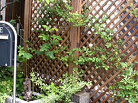 目隠しフェンス 木製ラティス グリーンケア お庭のデザイン リフォーム