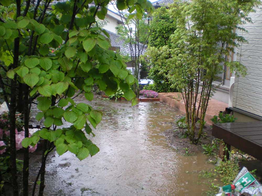排水性が低く、雨が降ると水がぬけないお庭