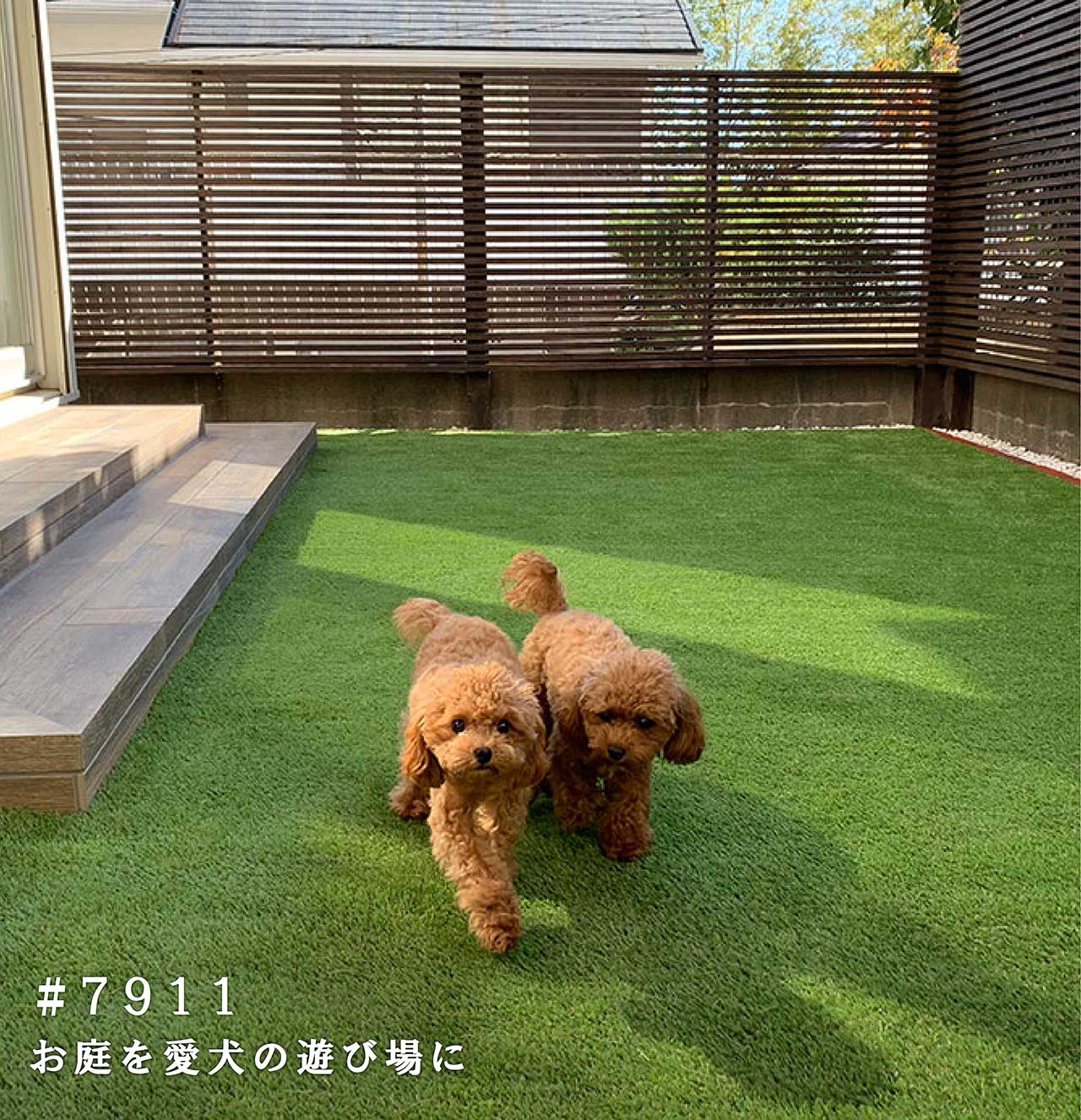 お庭を愛犬の遊び場に