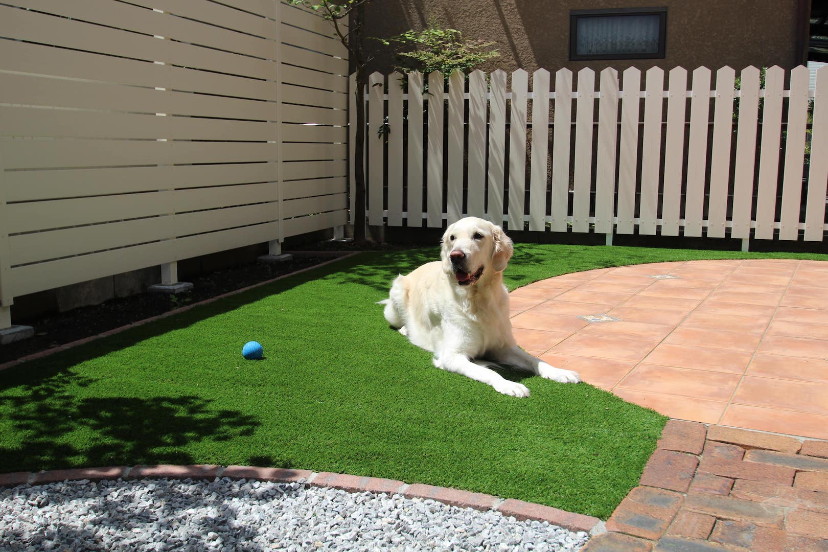 通路も有効活用 愛犬が喜ぶ お庭のトータルリフォーム グリーンケア お庭と外構 エクステリアのデザイン リフォーム