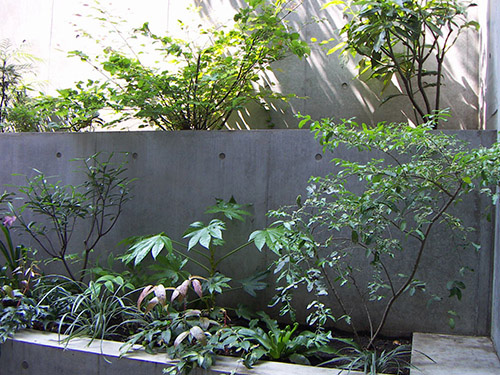 半地下テラスの植栽花壇を日陰に向く植物でコーディネート グリーンケア お庭のデザイン リフォーム