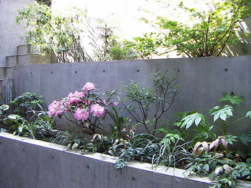 半地下テラスの植栽花壇を日陰に向く植物でコーディネート グリーンケア お庭のデザイン リフォーム