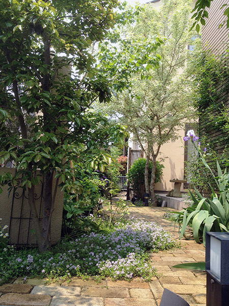 玄関アプローチと主庭をめぐるレンガ敷きアプローチ グリーンケア お庭のデザイン リフォーム