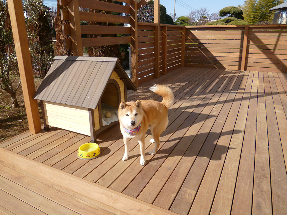 犬 を 庭 で 飼う