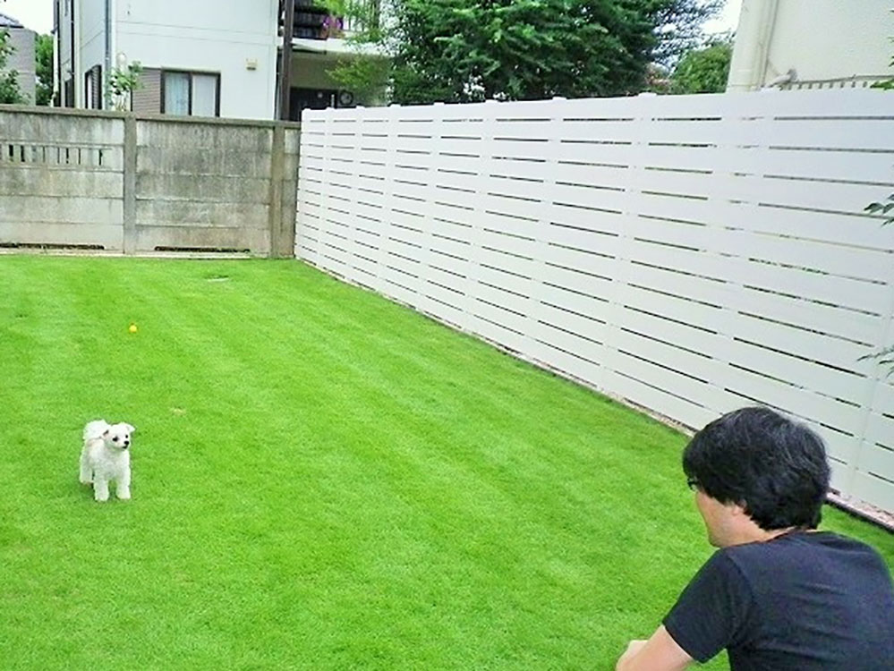 愛犬が遊べる アメリカンなイメージの芝生のお庭 グリーンケア お庭のデザイン リフォーム 横浜 川崎