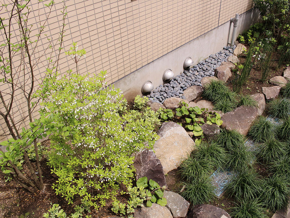 石組みのある和風の植栽 グリーンケア お庭のデザイン リフォーム