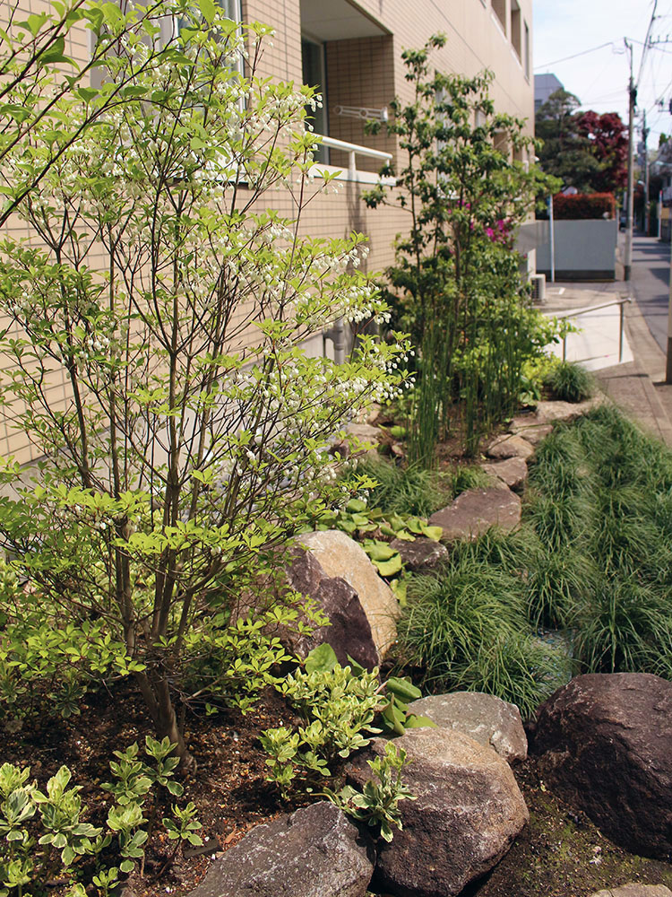 石組みのある和風の植栽 グリーンケア お庭のデザイン リフォーム