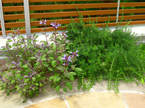 お庭の雑草対策にも 芝生 グランドカバー グリーンケア お庭と外構 エクステリアのデザイン リフォーム
