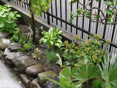 庭木選び ５つのポイント ガーデン設計 リフォーム グリーンケア